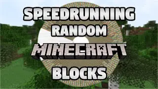 Speedrunning Random Minecraft Blocks