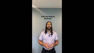 Chiropractic Tip of the Week #5 - Depression & Your Spine 🧠💙