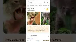 drop bear you are okay😨