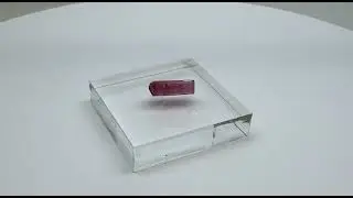 Double-Terminated Transparent Pink Tourmaline Crystal     2