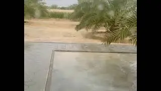 معلومة غير دقيقة عن الري بعد المطر