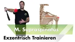 Exzentrisch training supraspinatus