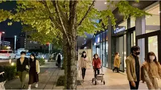 【4K】Tokyo Night Walk - TOKYO SKYTREE (Nov.2020)