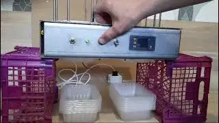 tray denester machine. Денестер. Раздатчик лотков. Разделитель пластиковой тары