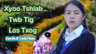 Xyoo Tshiab Twb Tig Los Txog || N.Ceeb Muas.& Nkauj Xyoo Tshiab 2026.(Nxf Nyiaj Thaiv)