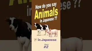 Animals Names in Japanese 2🐕🇯🇵
