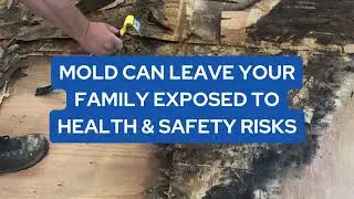 Mold Removal in Long Island, NY | Restoration Pros NY