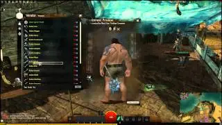 Guild Wars 2 - All Dungeon Sets & Weapons