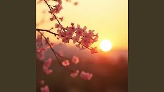 Hope Light