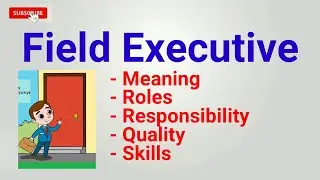 field executive | job description | field executive roles responsibilities | what is field executive
