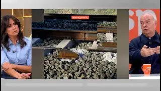Un ingeniero industrial, sobre los trenes AVE: 