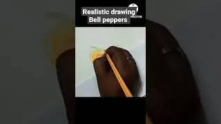 Bell peppers drawing Realistic #art #drawing #realisticdrawing #vegitable #colourpencil