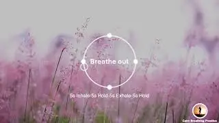 Let Your Mind Drift Away in the Wind | BOX BREATHING (10 mins)