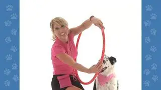 Dog Trick:  Jump Through My Circled Arms