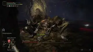 ELDEN RING Royal Revenant´s weakness is healing?