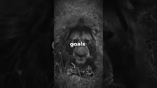 Prideful Courage: Stand Tall and Lead Fearlessly 🦁#PridefulCourage #FearlessLeader #FearlessAmbition