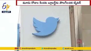 Twitter Blue Bird Logo Come Back Again | 3 Days Ago Dogecoin As Twitter Logo