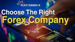 Choose The Right Forex Company | PlatrofmsFx
