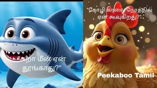 Science Facts #122 #123 #peekaboo #tamil #shark #cock #shorts #trending #views 
