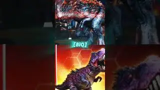 alpha 06 vs omega 09