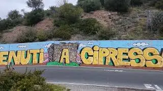 Cipressa