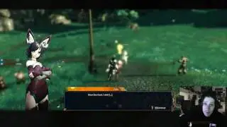 Revelation Online - Accelerated Evolution's Review (All Content Experienced) www.aeesports.pro