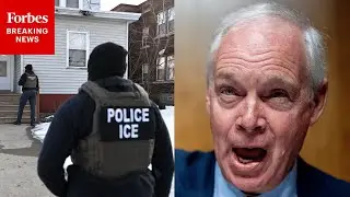 Ron Johnson: Demanding Judicial Warrants Is A 'Sneaky Way Of Neutering' Immigration Law Enforcement