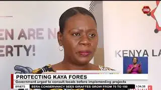 Kenya Land Alliance urges issuance of title deeds for Kaya forests to ensure legal protection