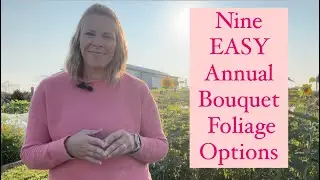 Nine EASY Annual Bouquet Foliage to Grow : cut flowers : flower bouquet greenery : Zone 5