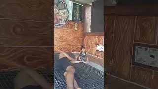 Cucuku belajar ber nyanyi dengan pak denya