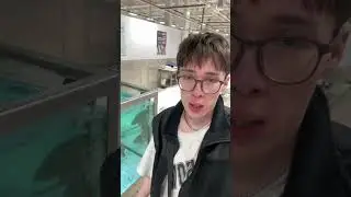 Пацаны не общительные #fun #real #top #жиза #music #prank #пранк #cringe