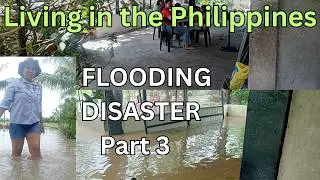 Back to Square One: The Flooding Disaster that ruined our progress, Part 3 of our renovation series.