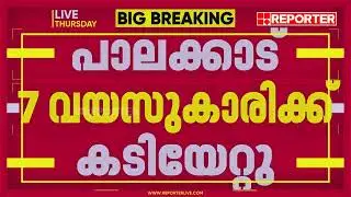 പാലക്കാട് 7 വയസുകാരിക്ക് തെരുവുനായയുടെ ആക്രമണത്തിൽ പരിക്കേറ്റു | Palakkad | Stray Dogs