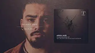 Arina Mur - Hummingbird (Rigooni Remix) / Zenebona Records