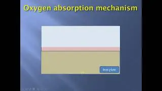 oxygen absorption mechanism