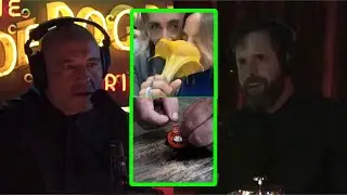 Zombie Drugs and Artificial Intelligence - Joe Rogan & Duncan Trussell