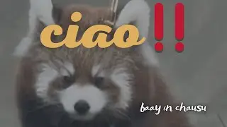 チャオ！