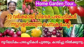 മിൽക്ക് ഫ്രൂട്ട് നടണോ,വേണ്ടയോ? നൂറിലധികം വെറൈറ്റി വിദേശ പഴച്ചെടികൾ ഈ വീട്ടിലുണ്ട്.. #exoticfruit