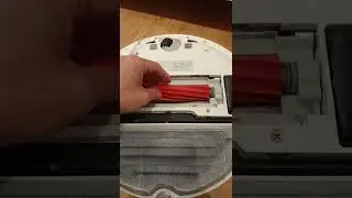Roborock B&uuml;rste reinigen
