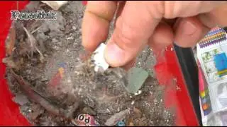 Taranto: in casa minerale di ferro a 6 km dalla zona industriale