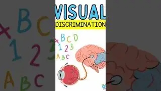 VisualDiscriminationActivity#2023#shortvideo#funlearning#shorts#visual #discrimination#low#activity