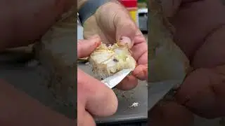 Maryland Blue Crabs? #crab #bluebrab