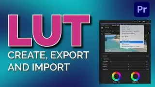 How to create LUT in Premiere Pro