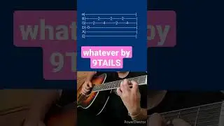 whatever by 9TAILS- Acoustic Guitar Tab #shorts
