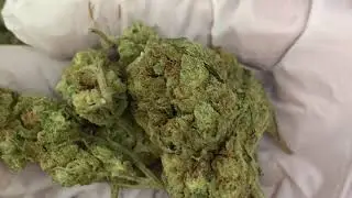 Chem #4
