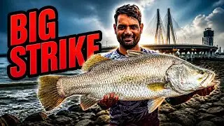 fishing Point in Mumbai  worli fishing in Mumbai|Barramundi fish Hunting