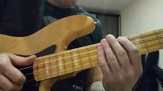 Les Claypool's Duo De Twang - Wynonna's Big Brown Beaver (bass cover) slowly 2