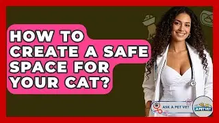 How To Create A Safe Space For Your Cat? - Ask A Pet Vet