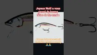 #fishing #fish #leurre #viral #beauty #p&ecirc;che #poisson