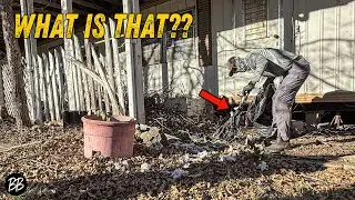 SQUATTERS, City FINES and Human P**P on this Yard Transformation 🫣